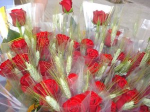 Sant Jordi