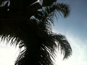 Salou