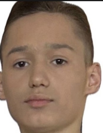 Profile picture of Ionut Vanica