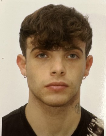 Profile picture of Federico Lipardi