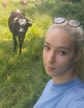 Profile picture of Lianu Ilinca