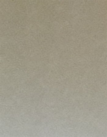 Profile picture of Dawid Petersen