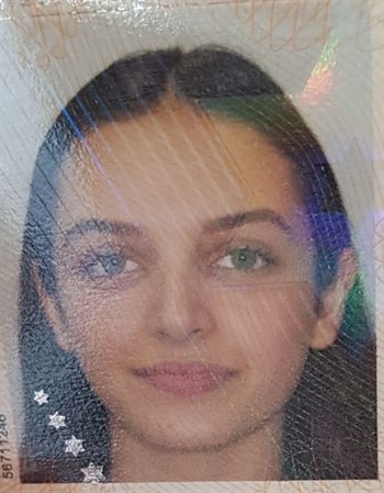 Profile picture of Noam Oz