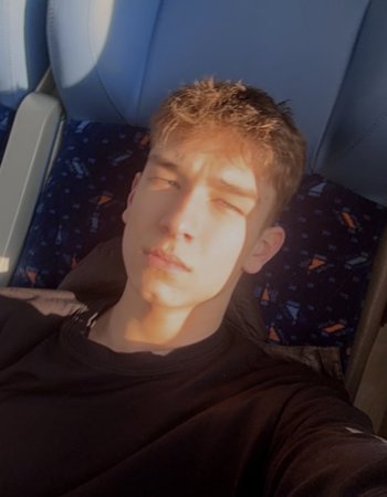 Profile picture of Ludovit Pavela