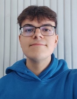 Profile picture of Milea David