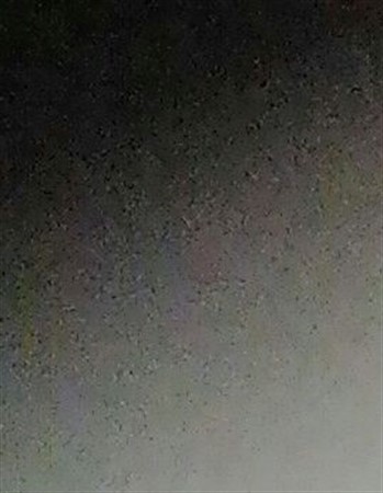 Profile picture of Rosanna Della Santa