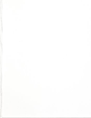 Profile picture of Brian Jurewitsch