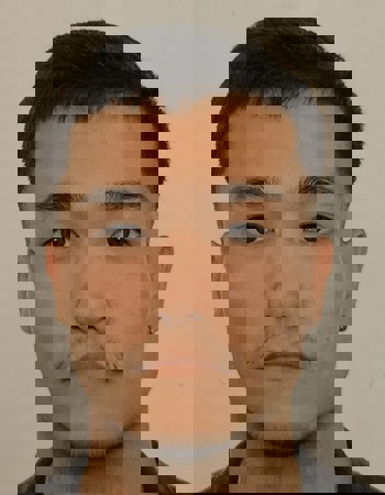 Profile picture of Tomoki Allgoewer