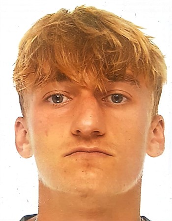 Profile picture of Victor Dulac