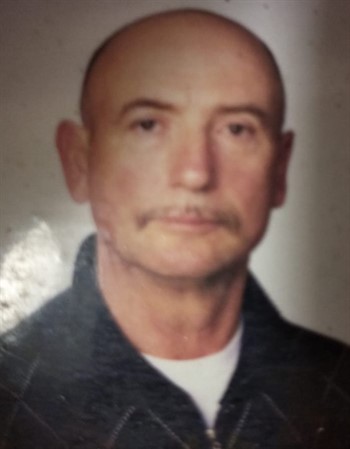 Profile picture of Ervino Spollero