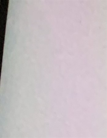 Profile picture of Willy Soestroem