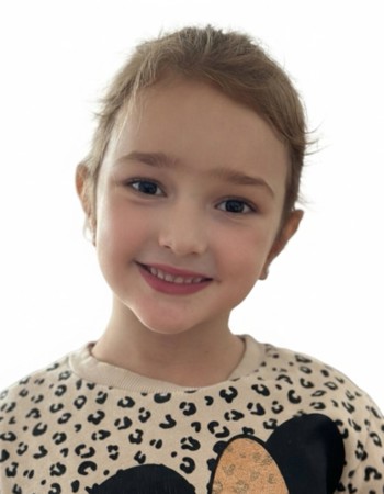 Profile picture of Dalia Alicajic