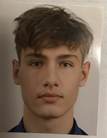 Profile picture of David Grefenstein