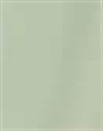 Profile picture of Enzo Capuozzo