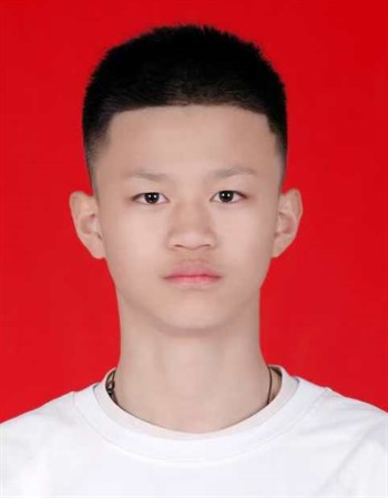 Profile picture of Ma Ruoxi