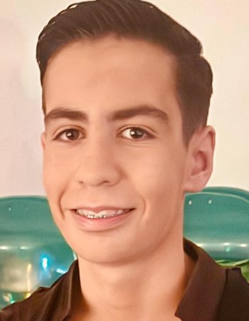 Profile picture of Manole Radu Stefan