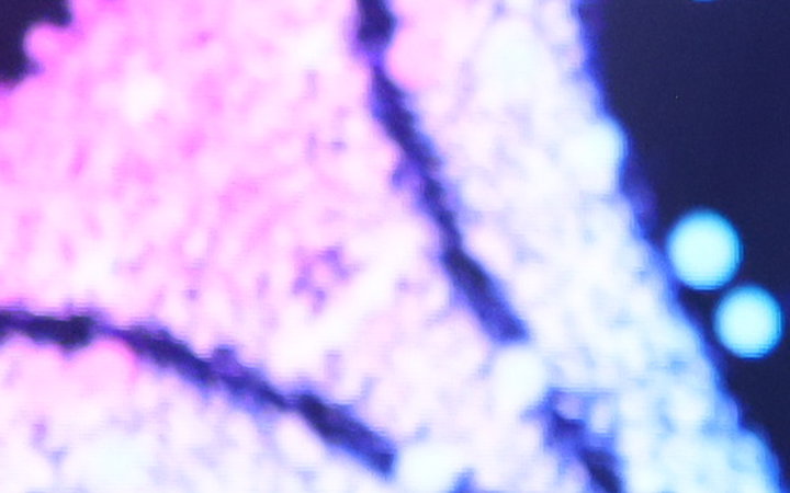 Profile picture of HDT Juniori