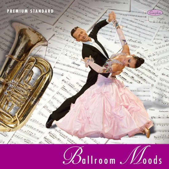 Theme From 'Girl With A Pearl Earring' (Viennese Waltz 58s)