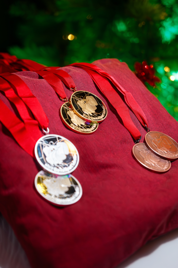 SHOW DANCE - ETTLINGEN 1.png